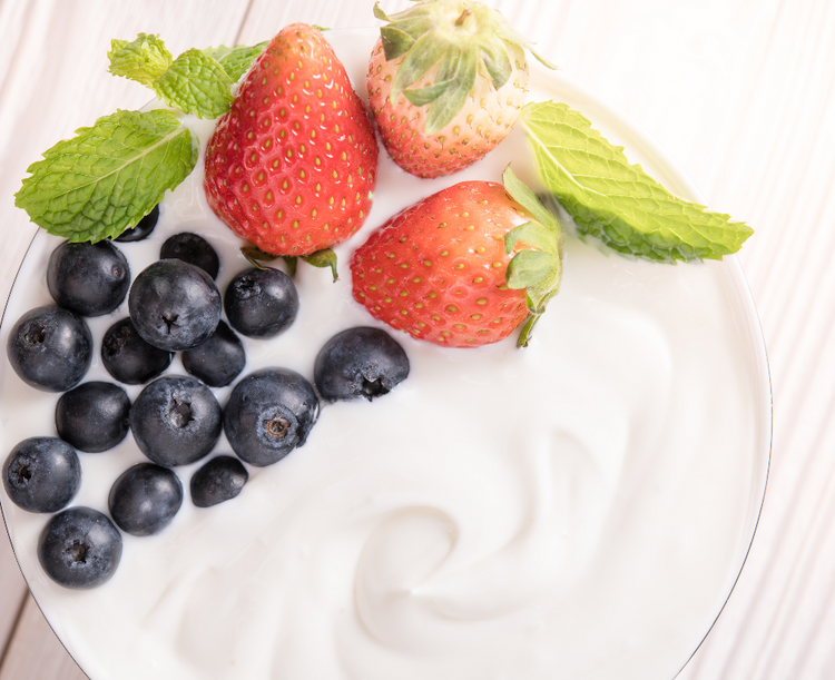 HOW TO MAKE YOGURT (DS1232) Homtone