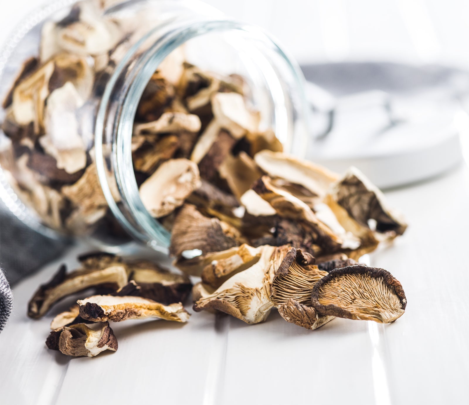 Dehydrated Mushrooms | Homtone Pizza Oven | DS-1433-SR
