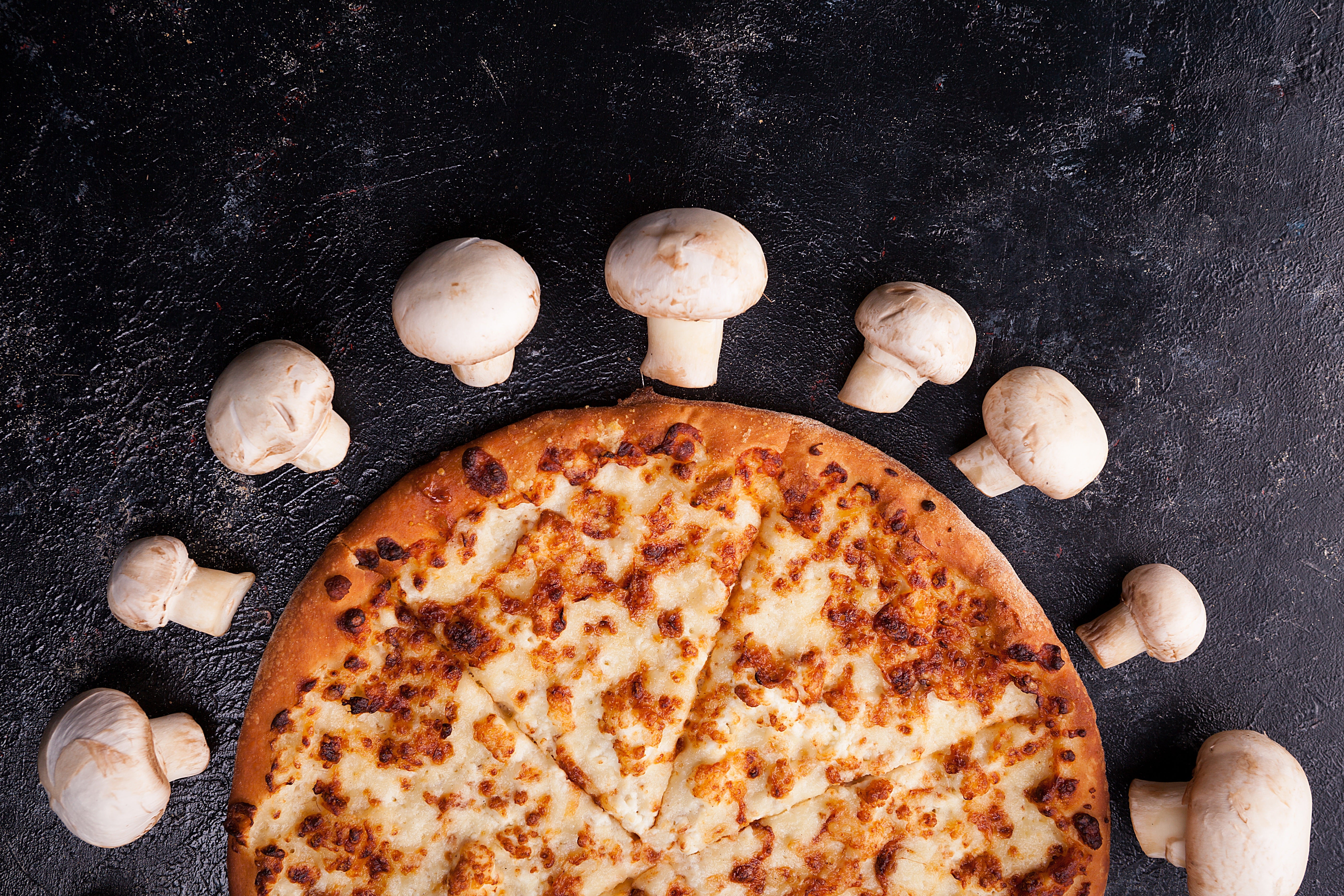 🍕 Easy Food Processor Pizza Dough/Homtone/ Food Processor
